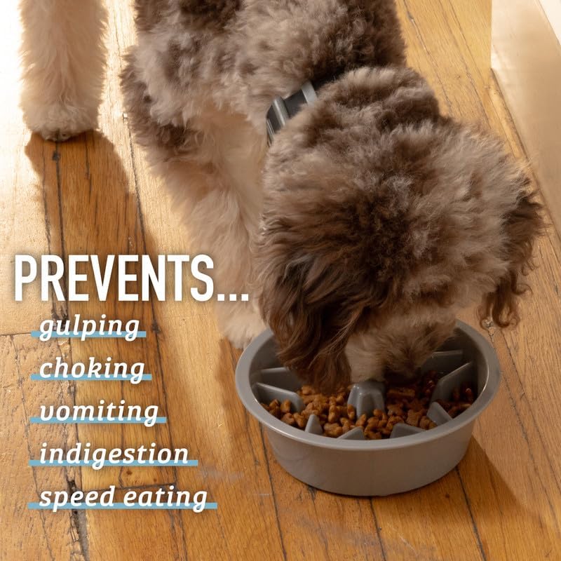 Slow Feeder Dog Bowls (2 Cup) Puzzle Dog Food Bowl - Fits into Elevated Pet Feeders - Slow Eating for Large, Medium & Small Sized Breeds - Gray